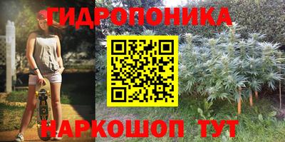 Альфа ПВП Комсомольск-на-Амуре