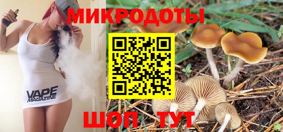 Кропоткин  Галлюциногенные грибы ЛСД  Вход с VPN 
