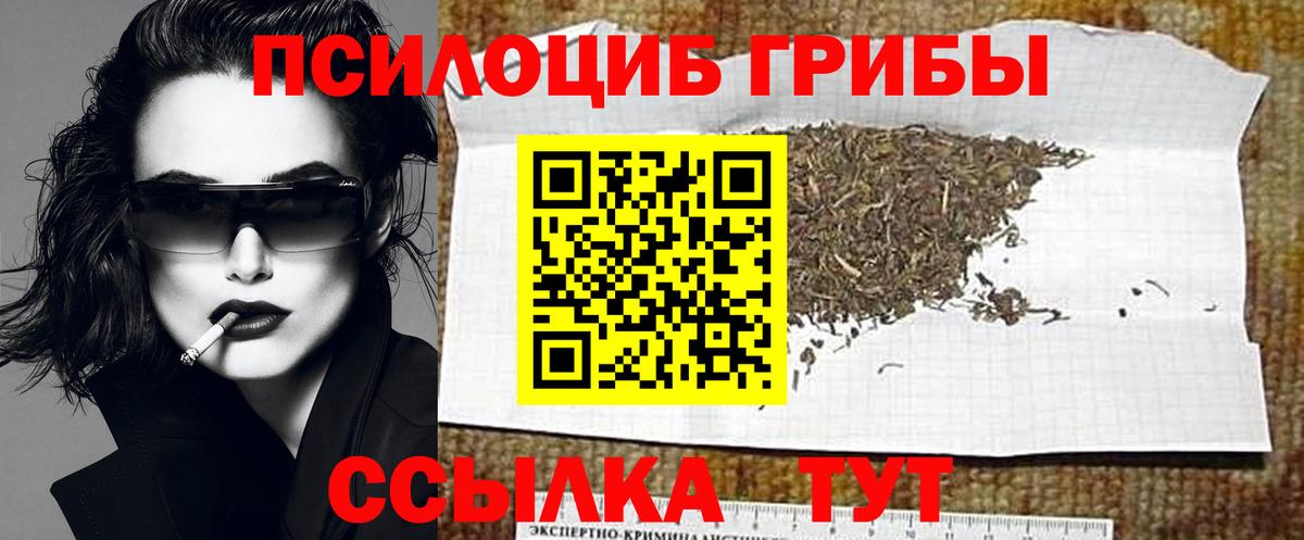 Псилоцибиновые грибы Cubensis Кропоткин